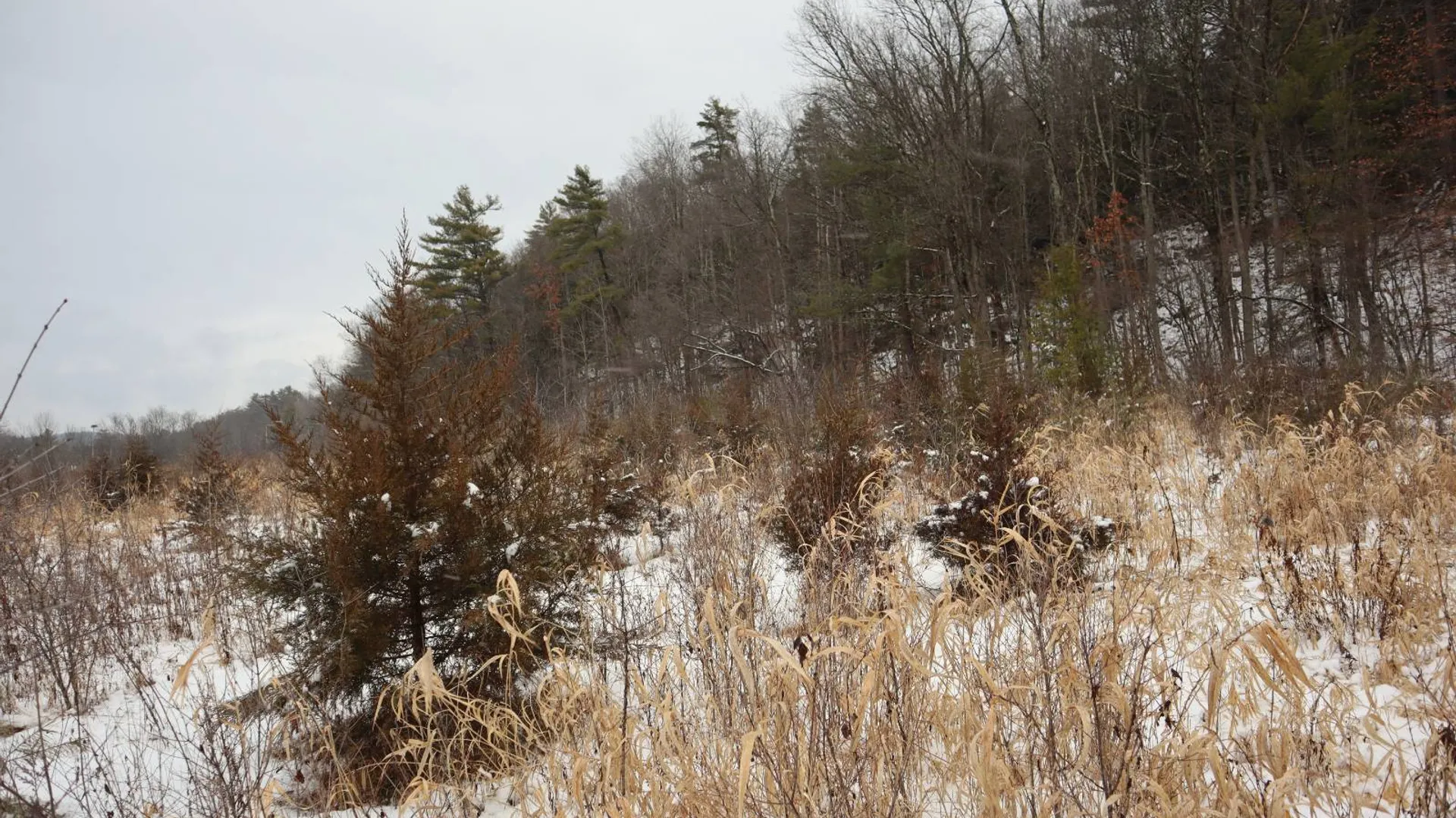 Property at 0 Wade Road, Whitehall, NY 12887 17