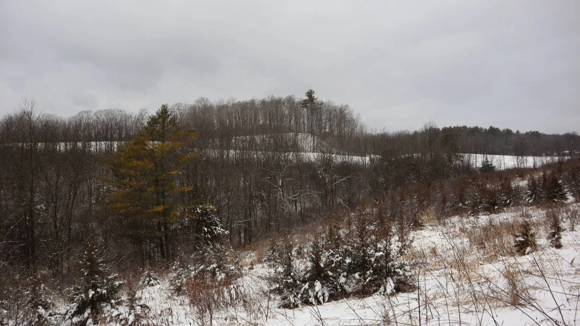 Property at 0 Wade Road, Whitehall, NY 12887 18