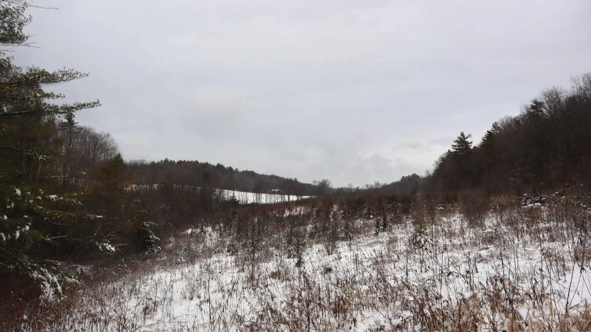 Property at 0 Wade Road, Whitehall, NY 12887 19