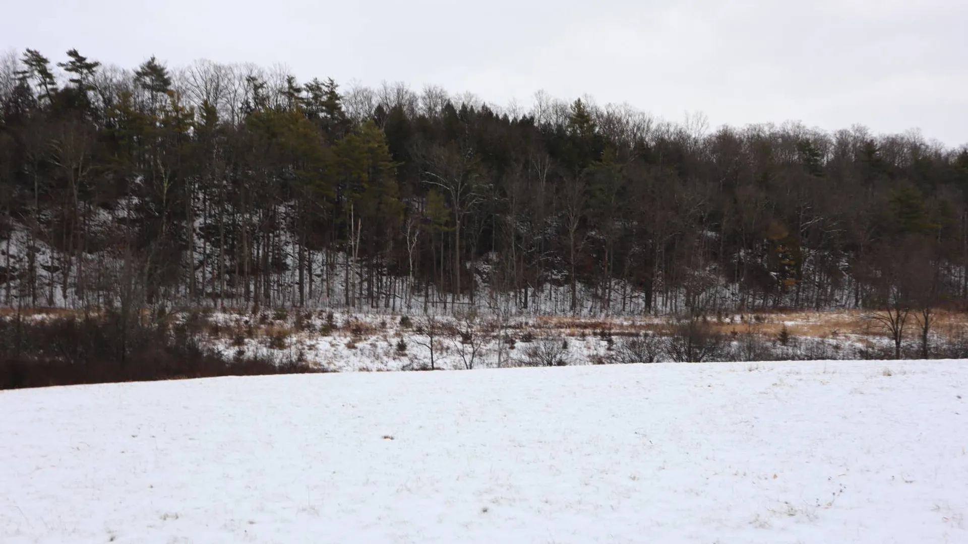 Property at 0 Wade Road, Whitehall, NY 12887 2