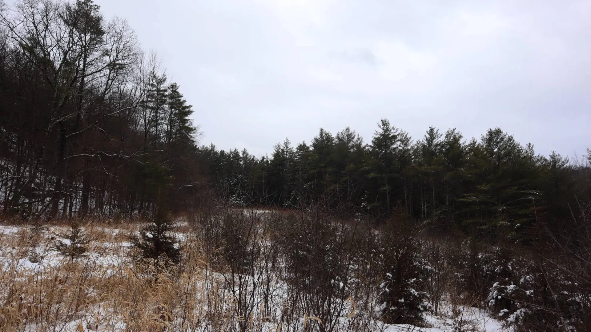 Property at 0 Wade Road, Whitehall, NY 12887 21