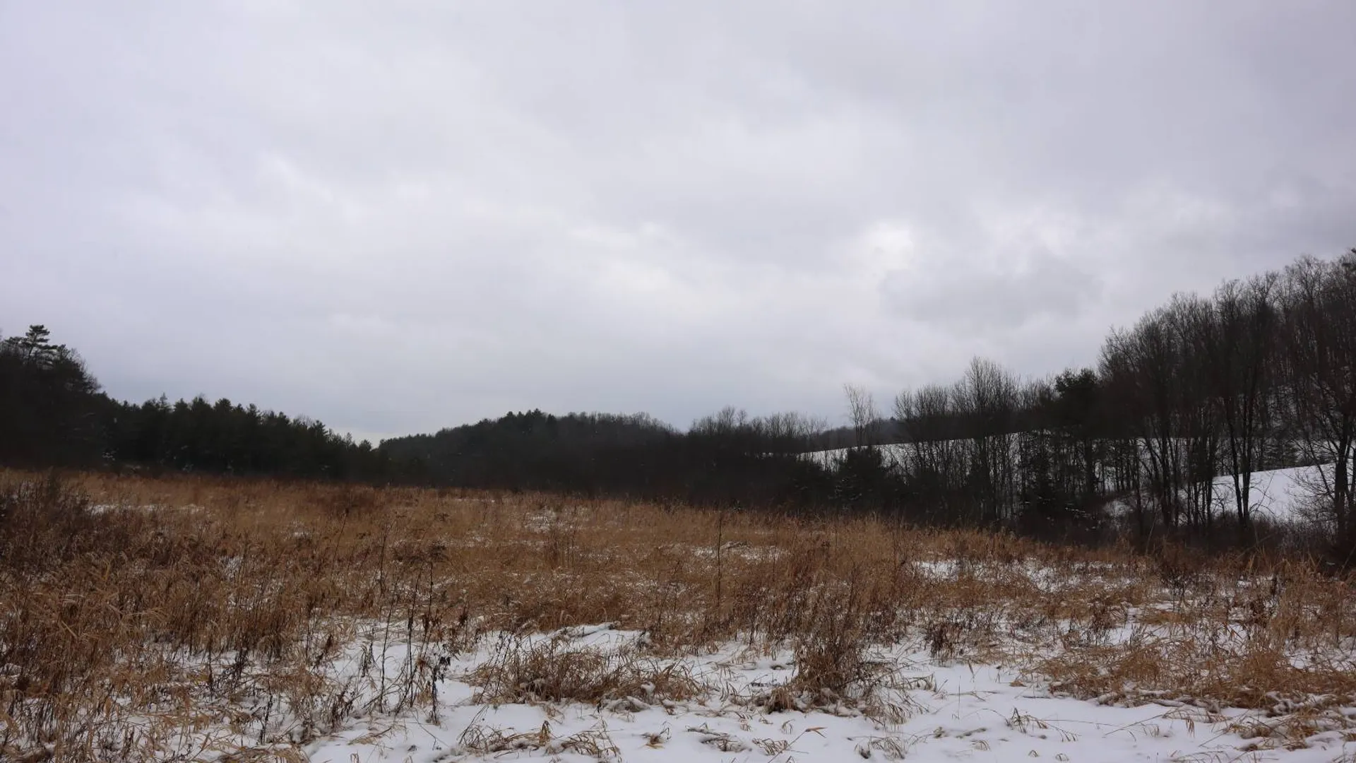 Property at 0 Wade Road, Whitehall, NY 12887 22