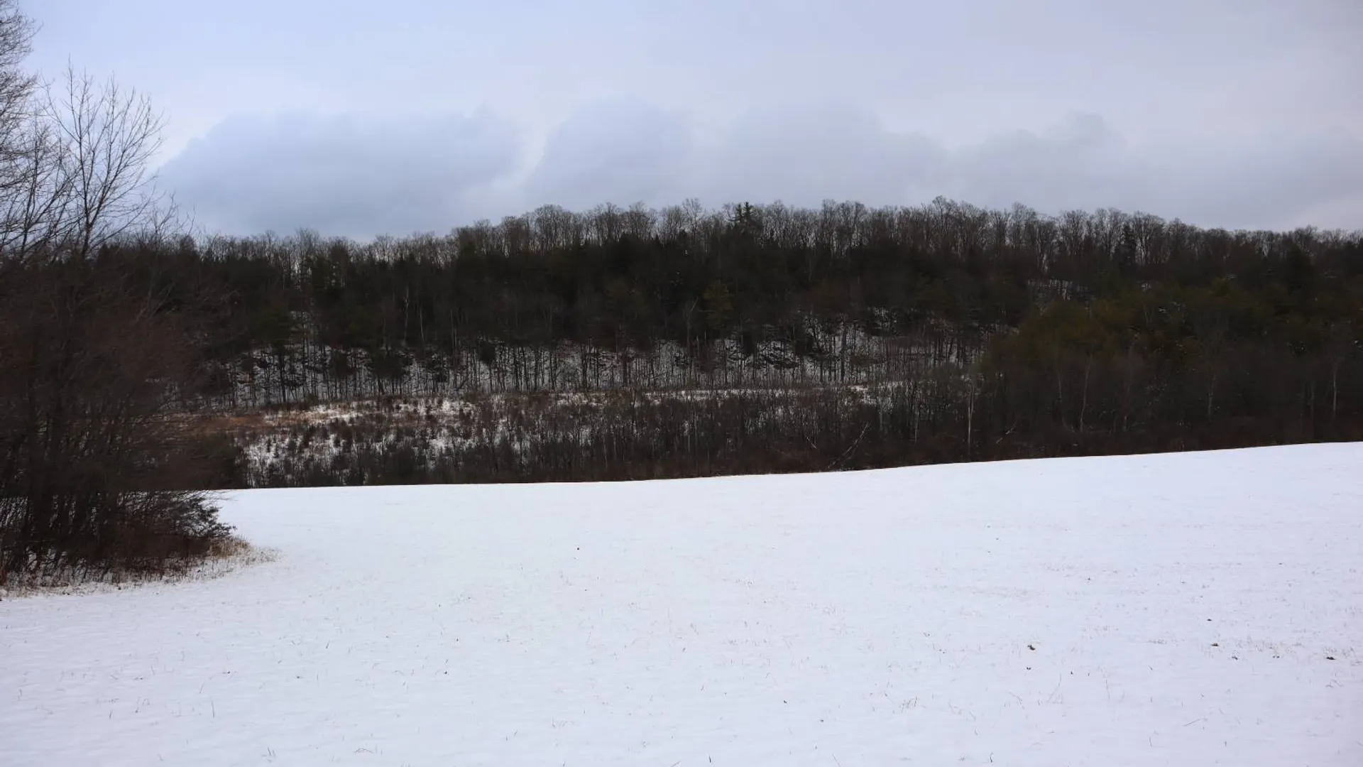 Property at 0 Wade Road, Whitehall, NY 12887 24