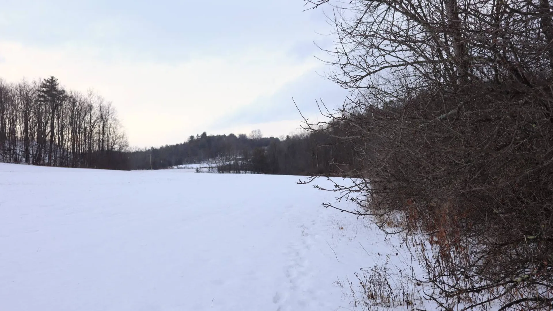 Property at 0 Wade Road, Whitehall, NY 12887 3