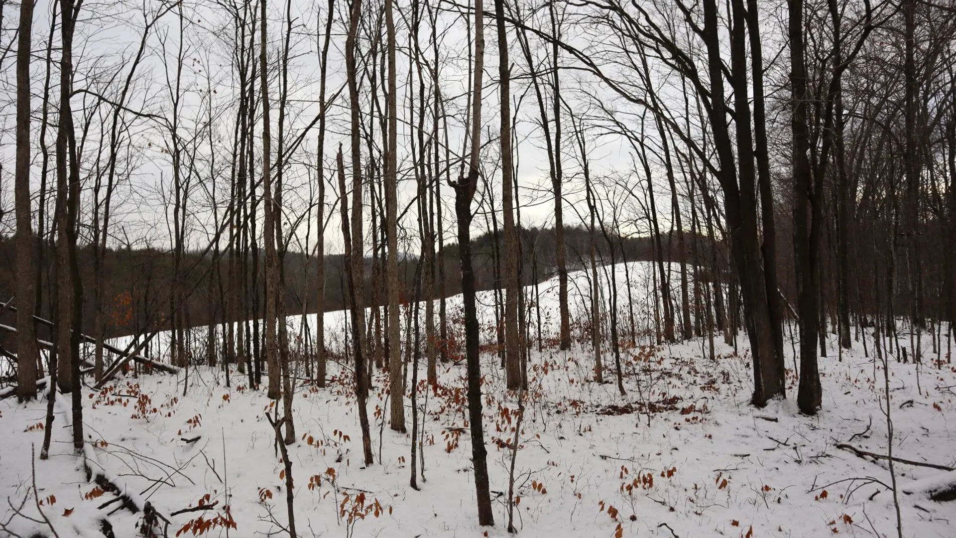 Property at 0 Wade Road, Whitehall, NY 12887 31