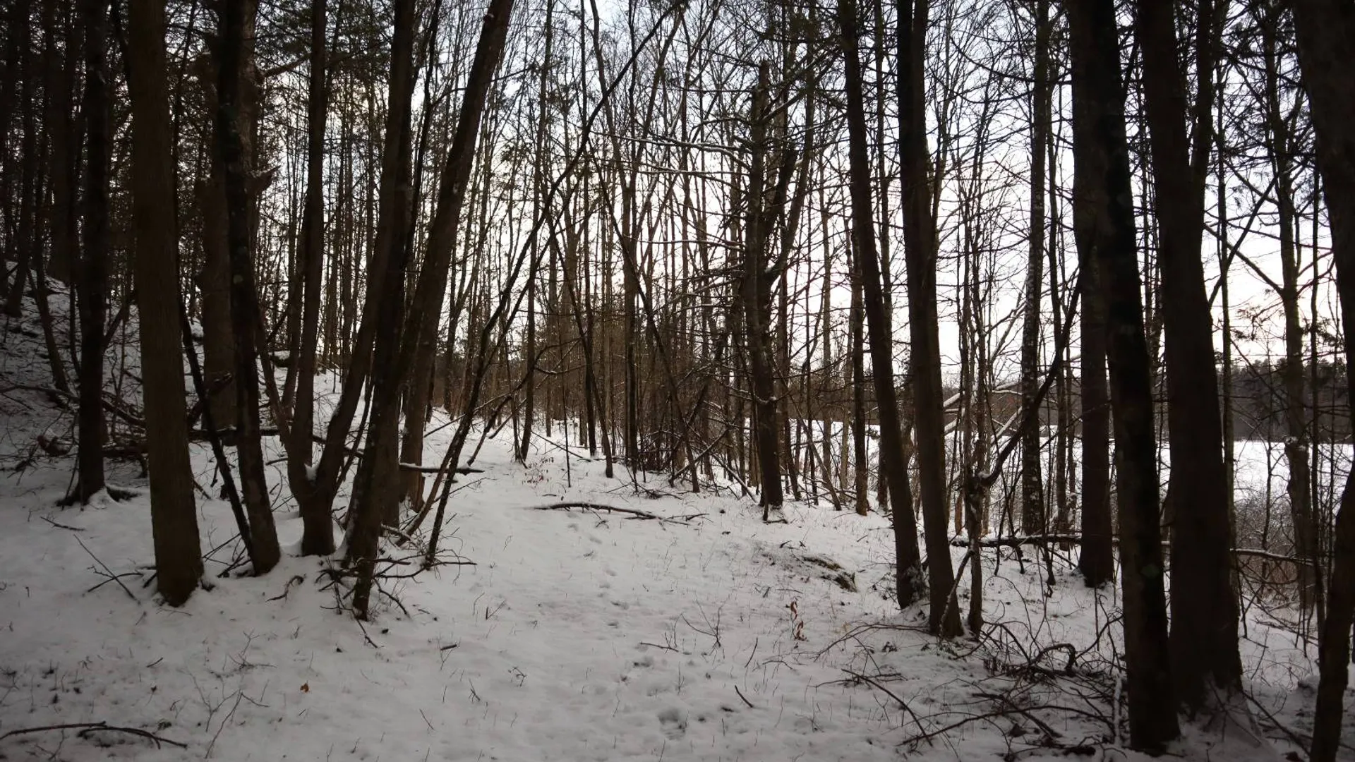 Property at 0 Wade Road, Whitehall, NY 12887 32