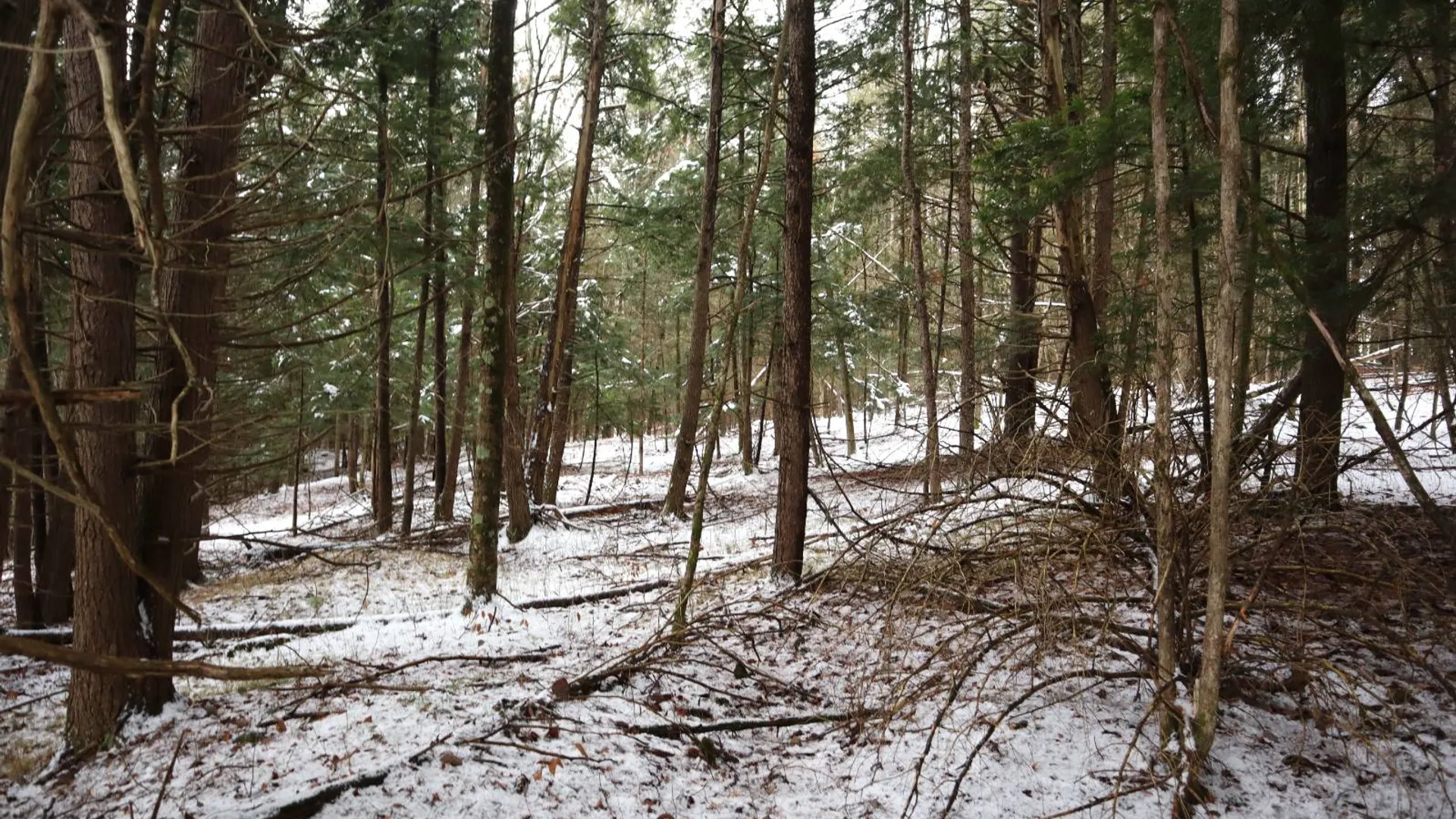 Property at 0 Wade Road, Whitehall, NY 12887 33