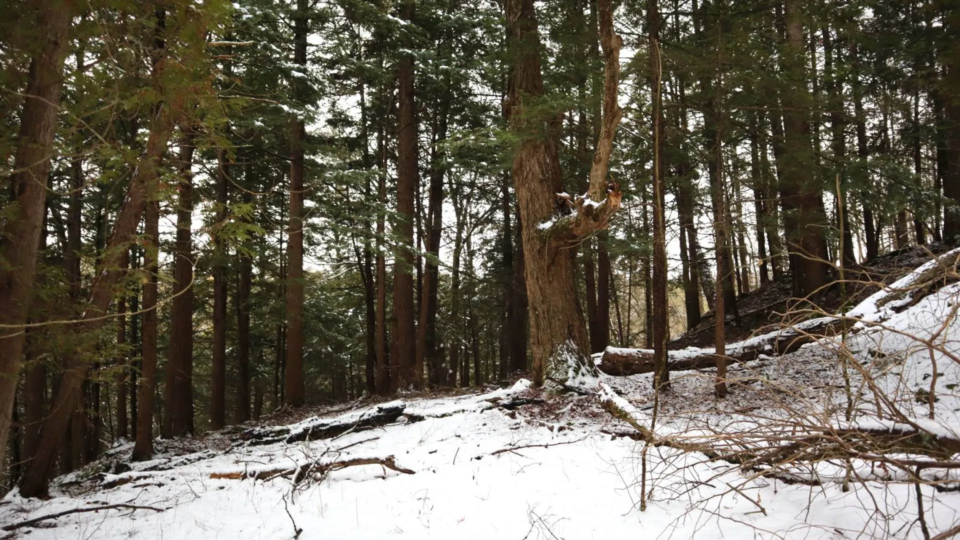 Property at 0 Wade Road, Whitehall, NY 12887 34