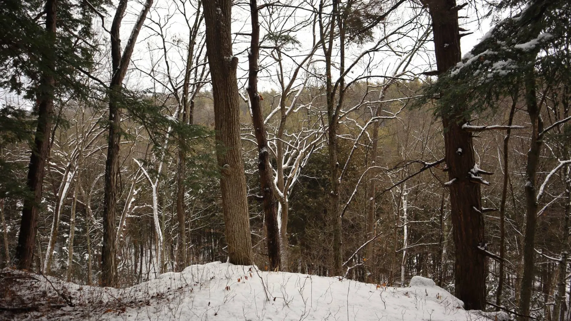 Property at 0 Wade Road, Whitehall, NY 12887 35