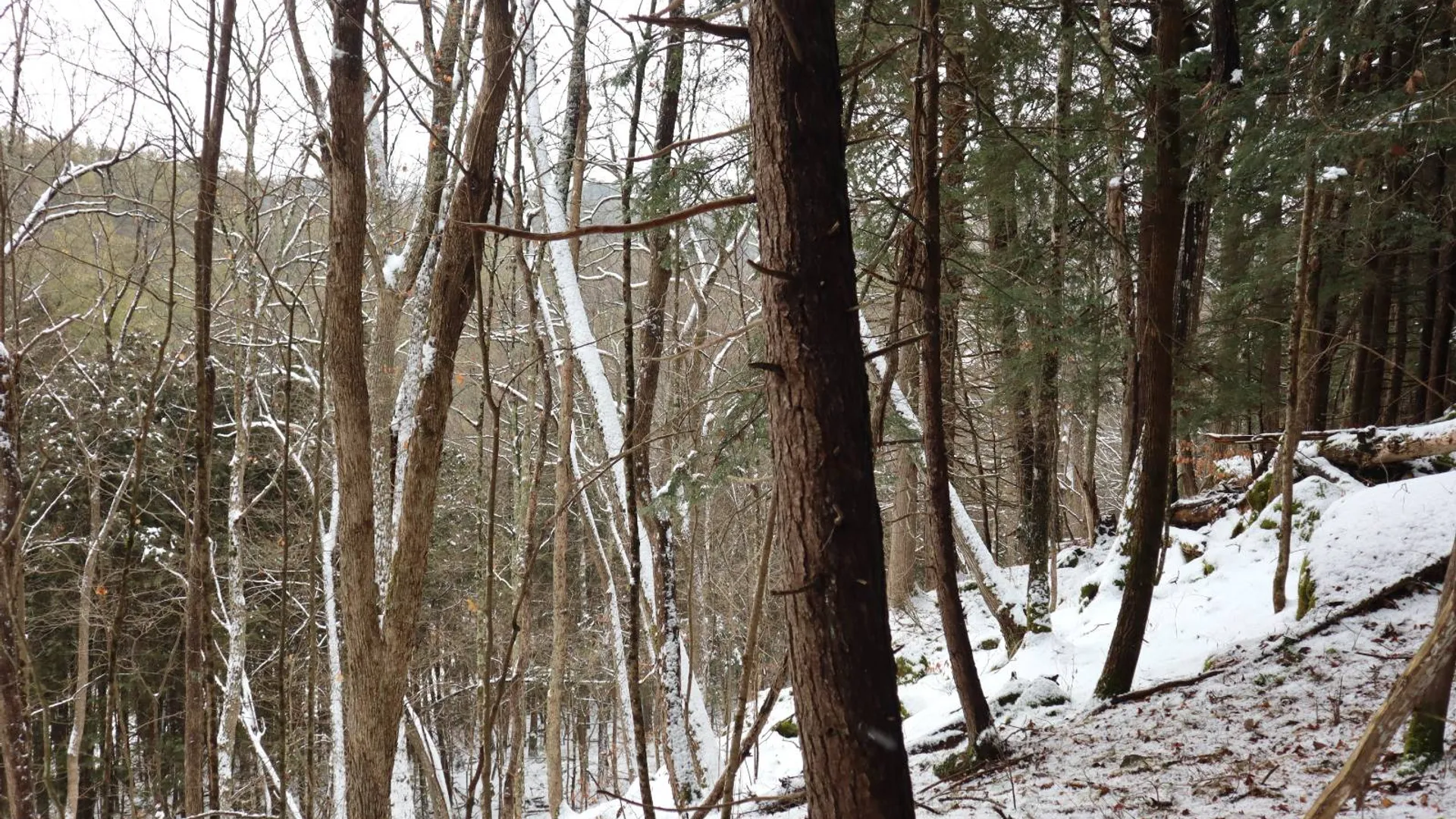 Property at 0 Wade Road, Whitehall, NY 12887 36