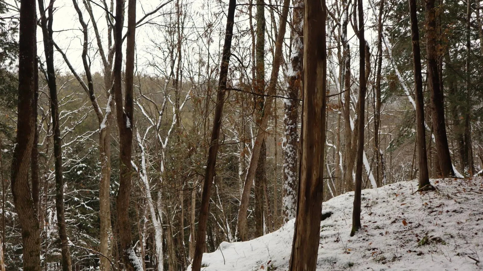 Property at 0 Wade Road, Whitehall, NY 12887 37