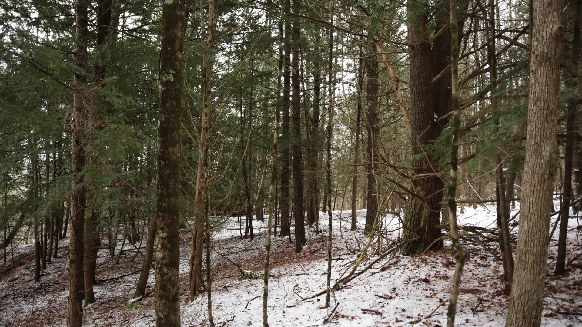 Property at 0 Wade Road, Whitehall, NY 12887 38