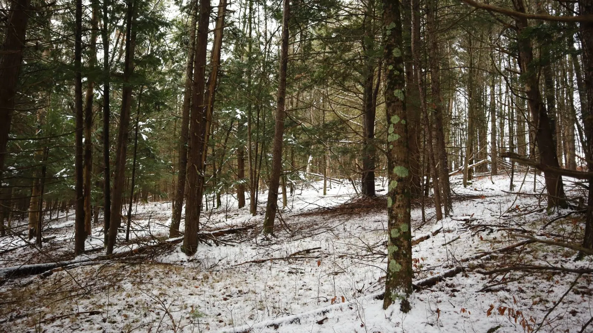 Property at 0 Wade Road, Whitehall, NY 12887 39