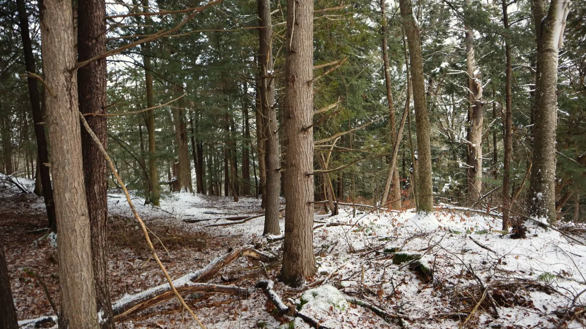 Property at 0 Wade Road, Whitehall, NY 12887 4