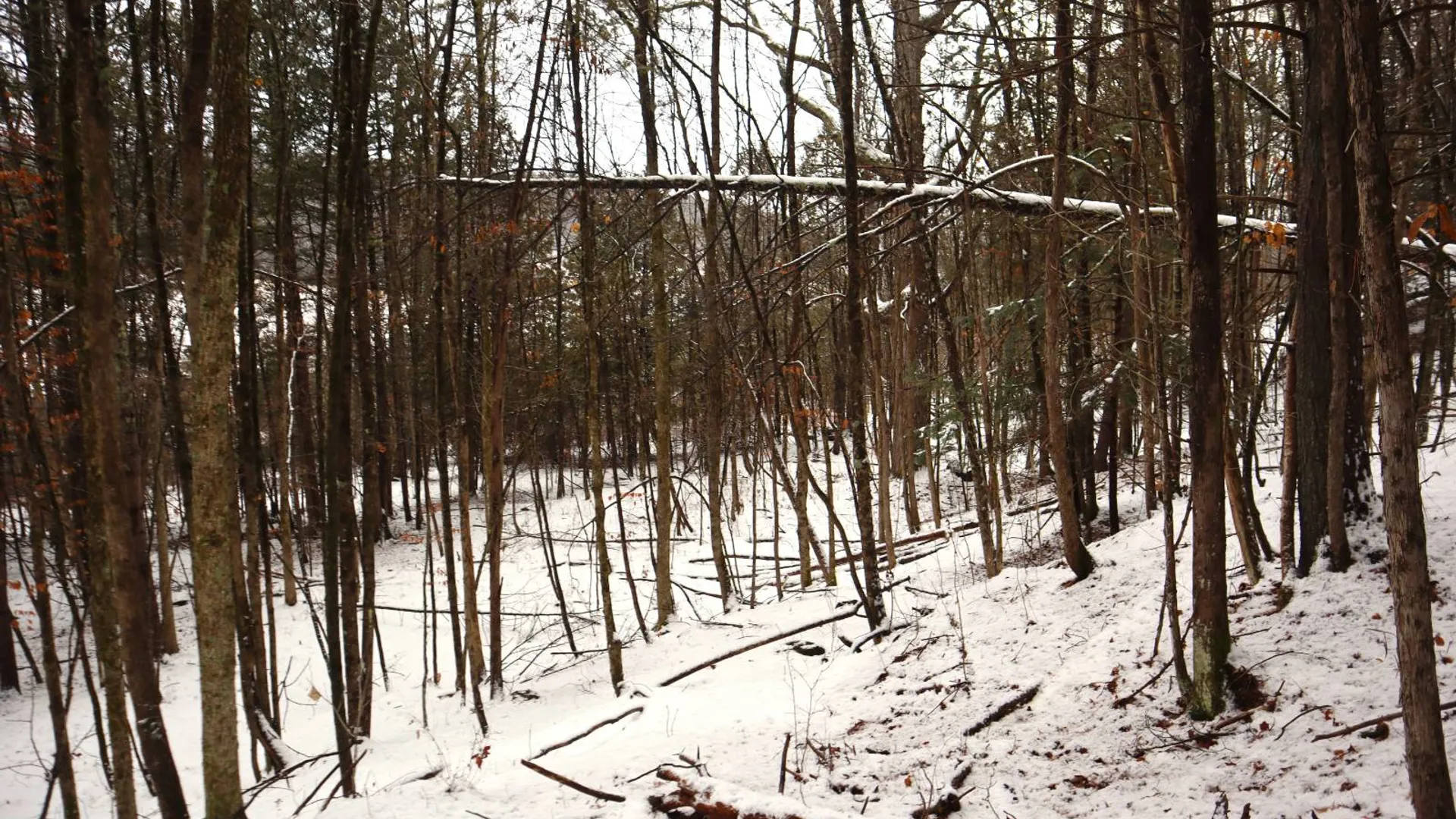 Property at 0 Wade Road, Whitehall, NY 12887 40