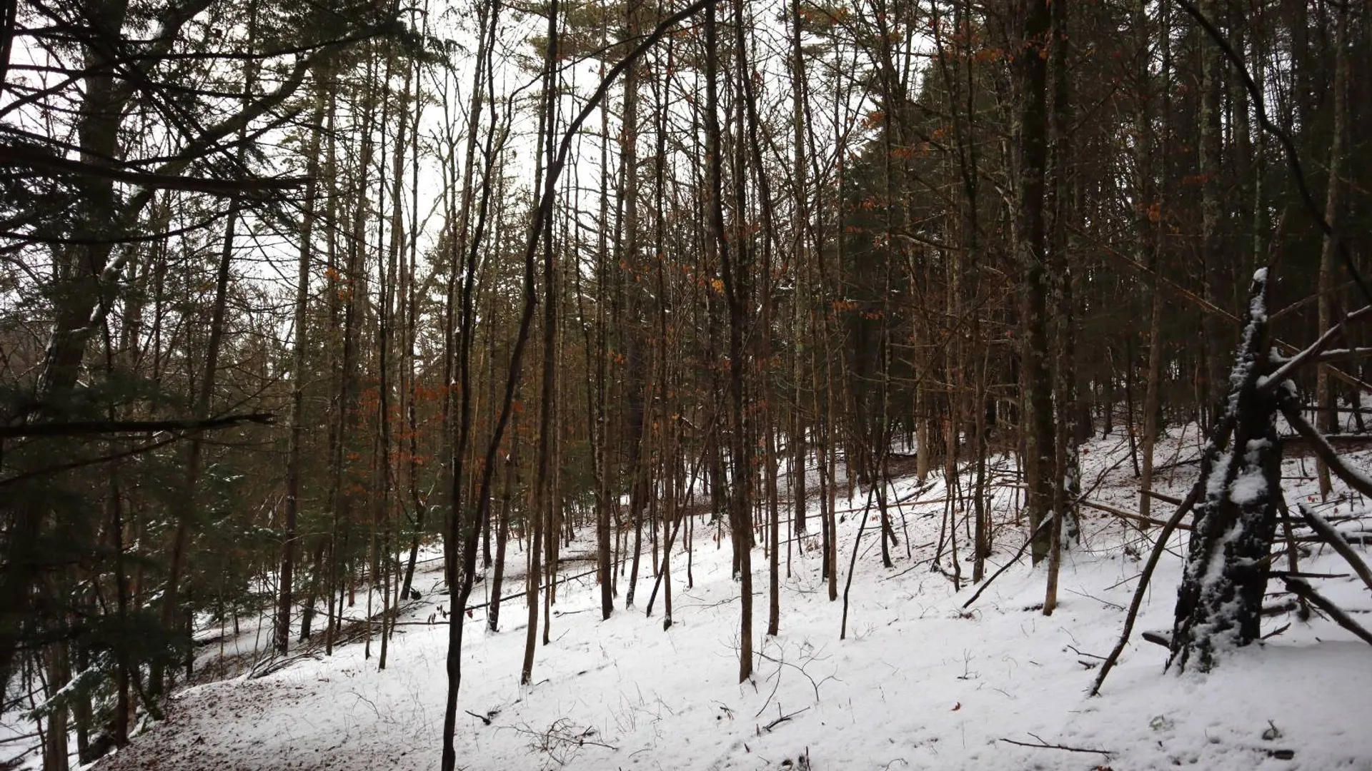 Property at 0 Wade Road, Whitehall, NY 12887 41