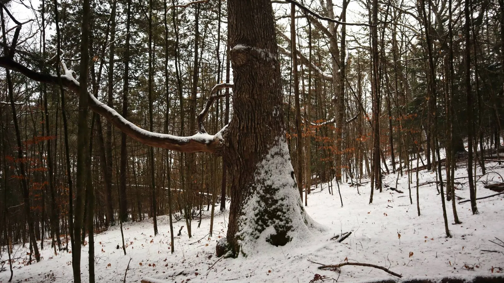 Property at 0 Wade Road, Whitehall, NY 12887 43