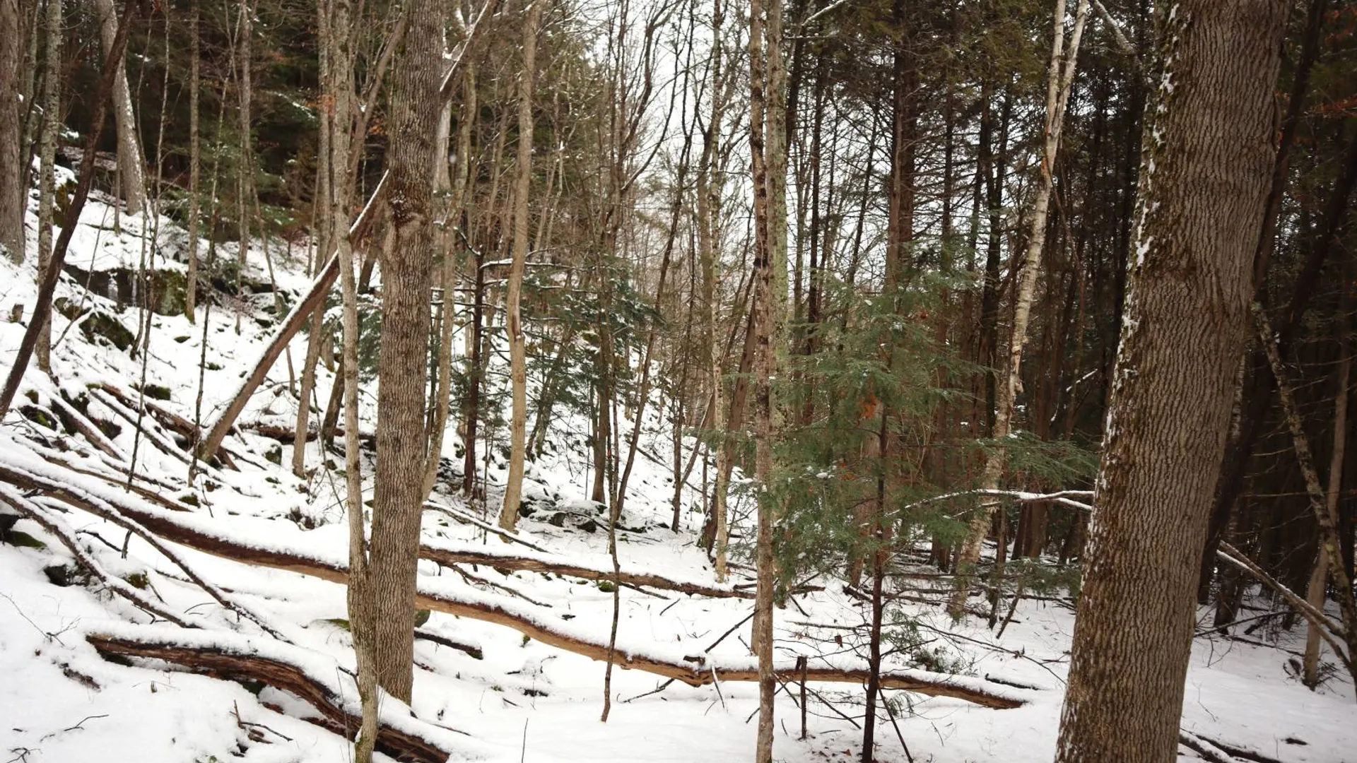 Property at 0 Wade Road, Whitehall, NY 12887 44