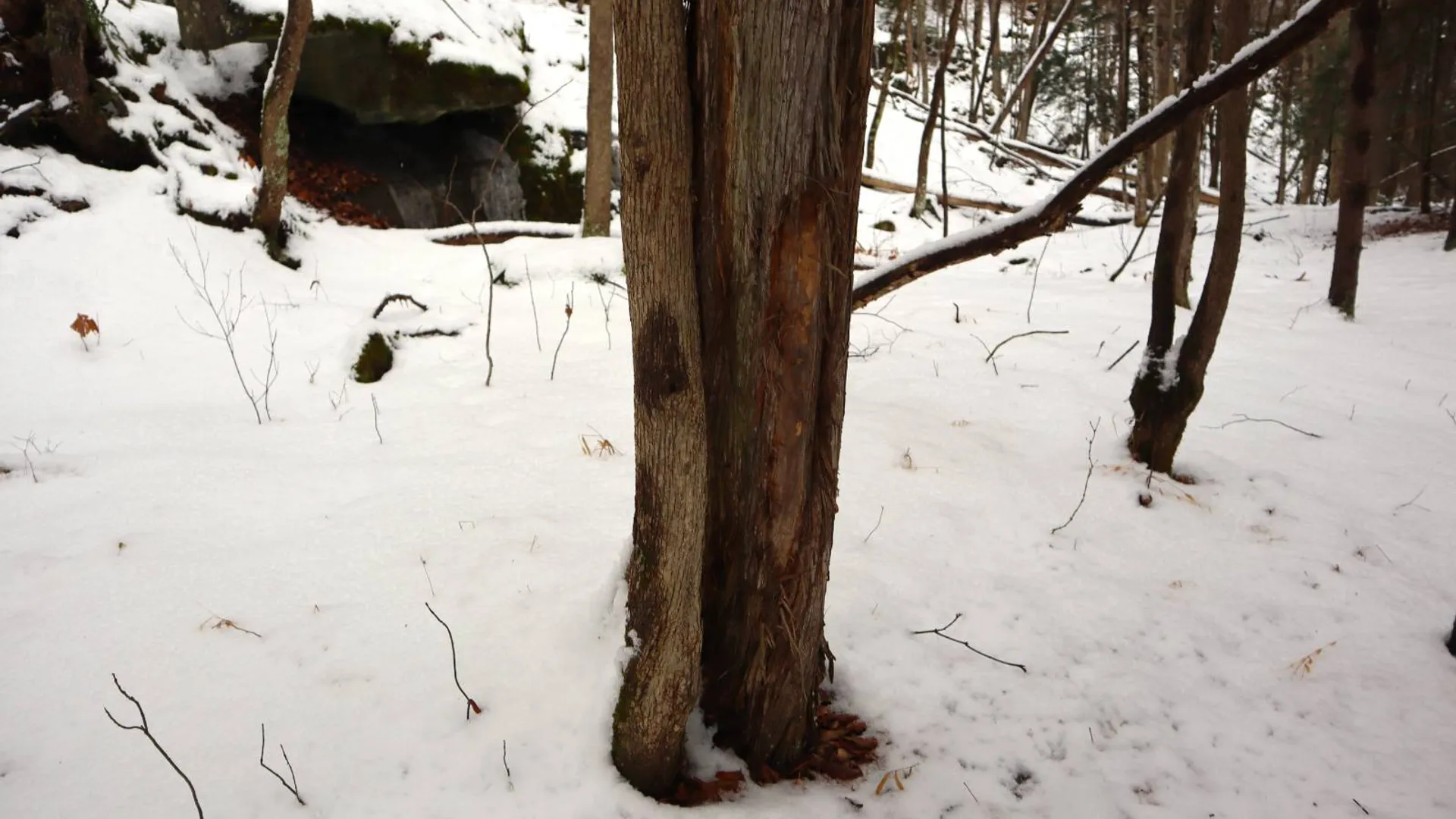 Property at 0 Wade Road, Whitehall, NY 12887 45