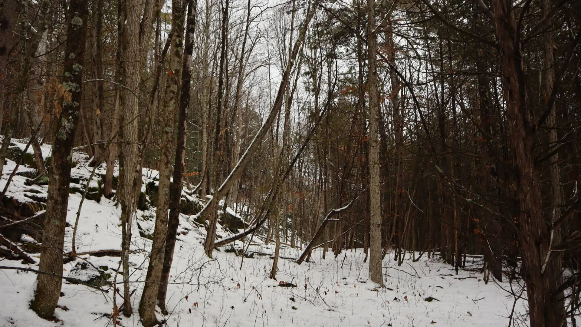 Property at 0 Wade Road, Whitehall, NY 12887 46