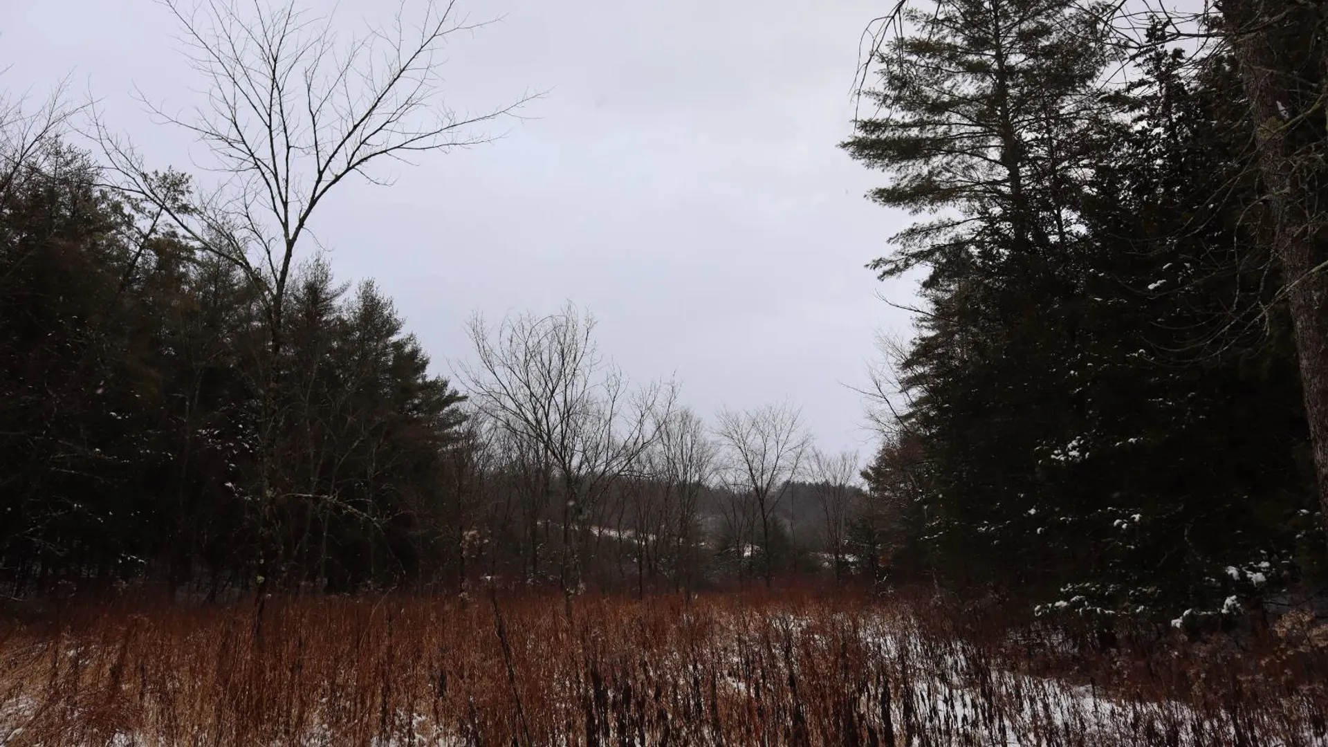 Property at 0 Wade Road, Whitehall, NY 12887 47