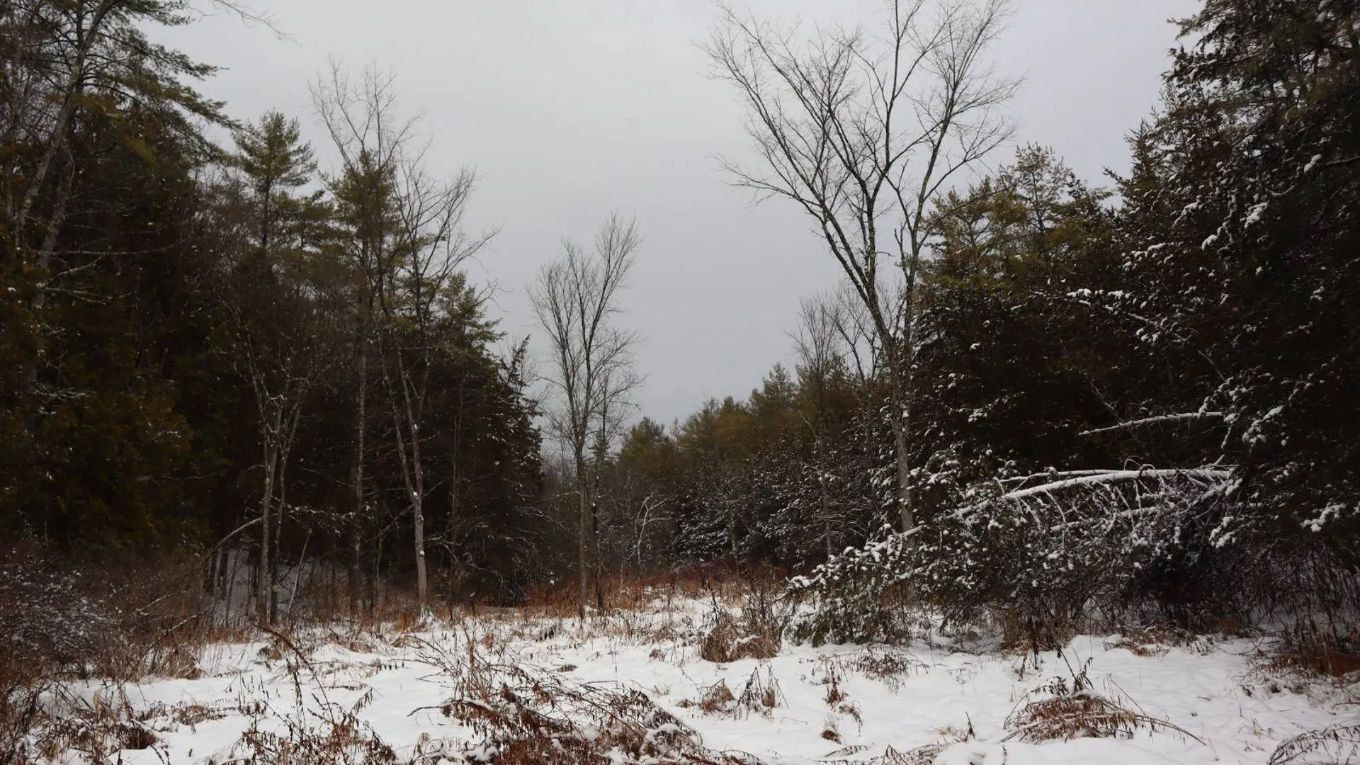 Property at 0 Wade Road, Whitehall, NY 12887 48