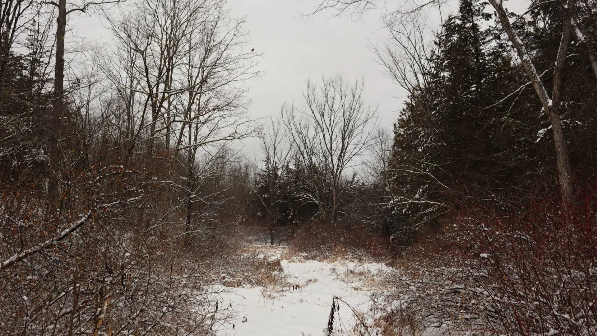 Property at 0 Wade Road, Whitehall, NY 12887 49