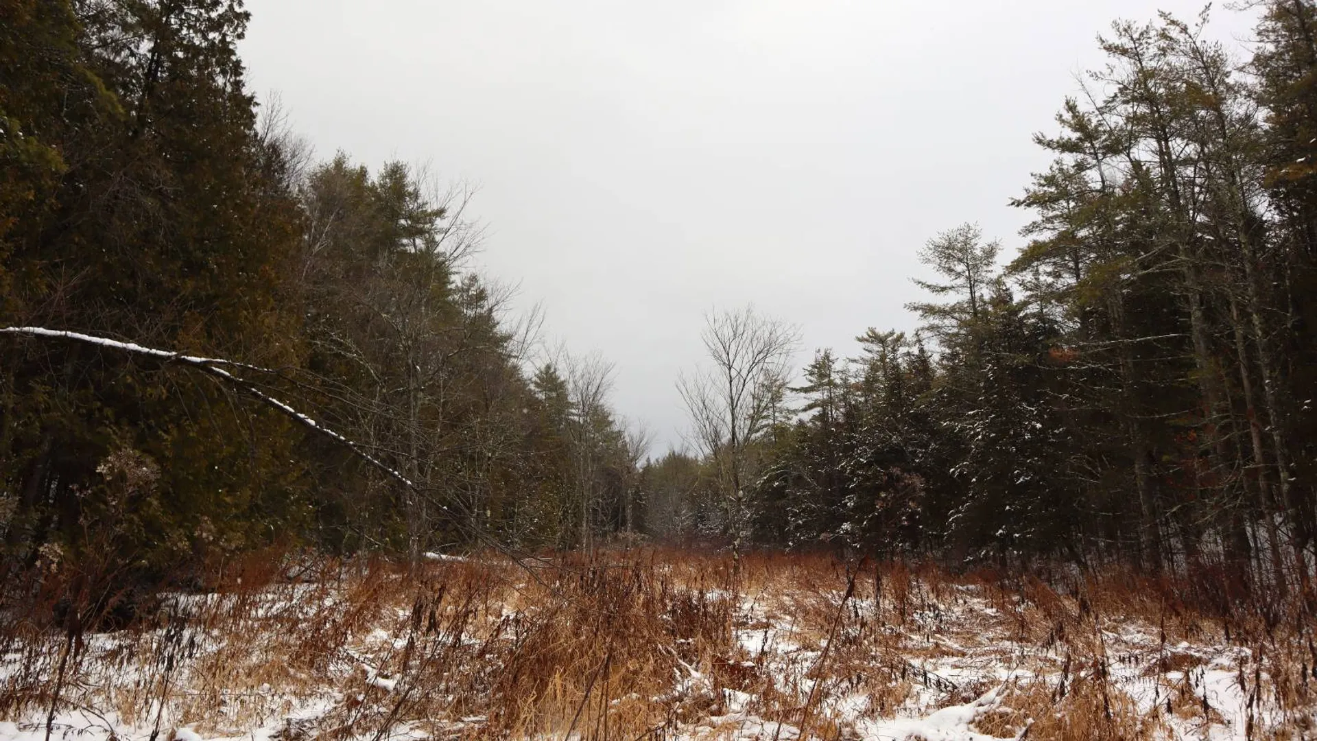 Property at 0 Wade Road, Whitehall, NY 12887 5