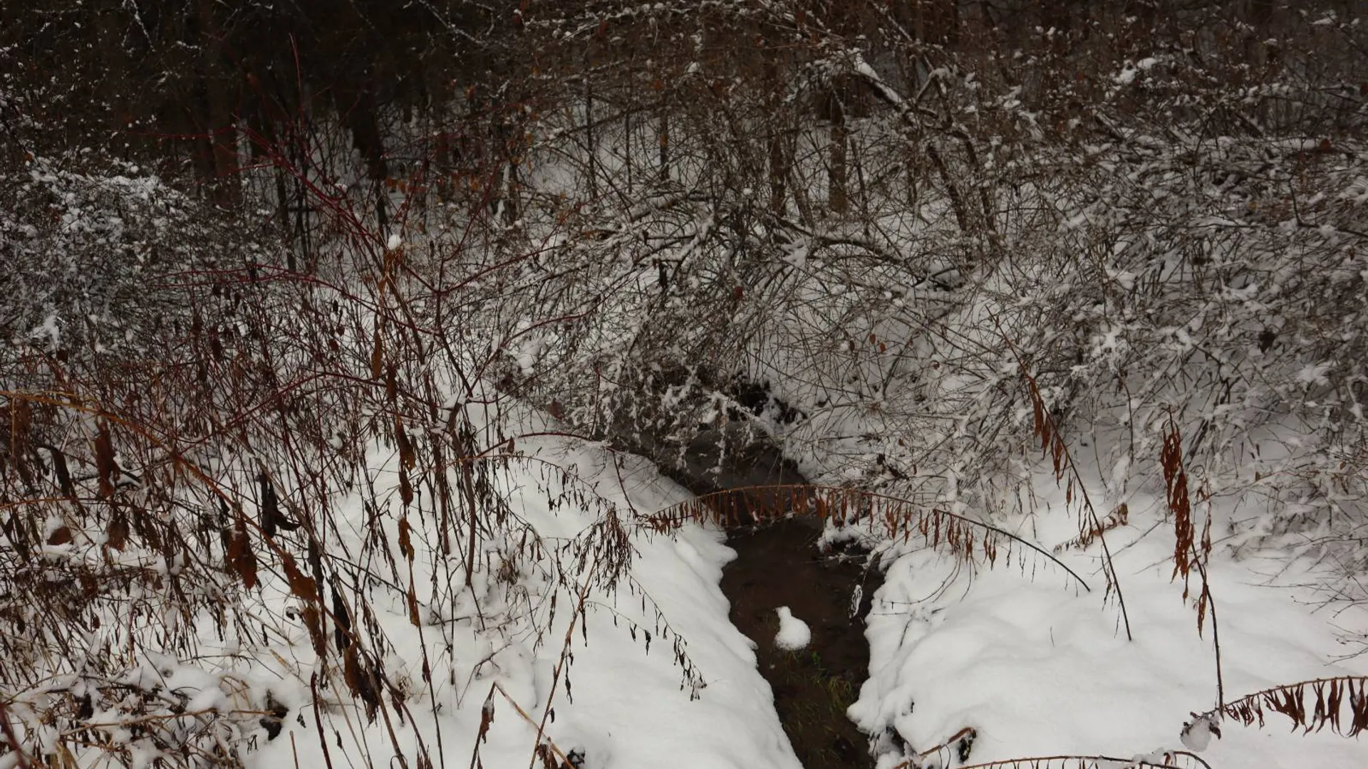 Property at 0 Wade Road, Whitehall, NY 12887 50