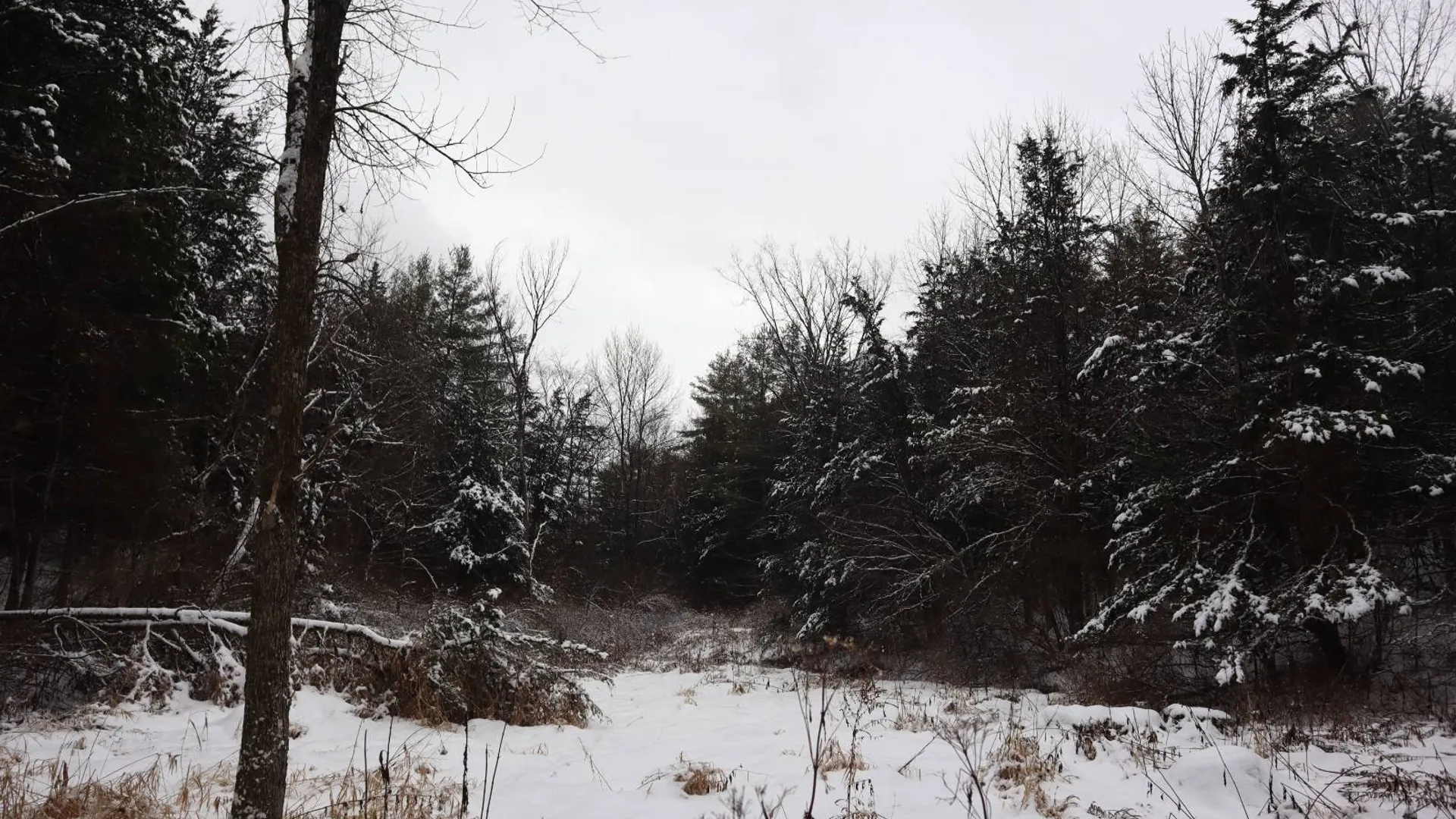 Property at 0 Wade Road, Whitehall, NY 12887 51