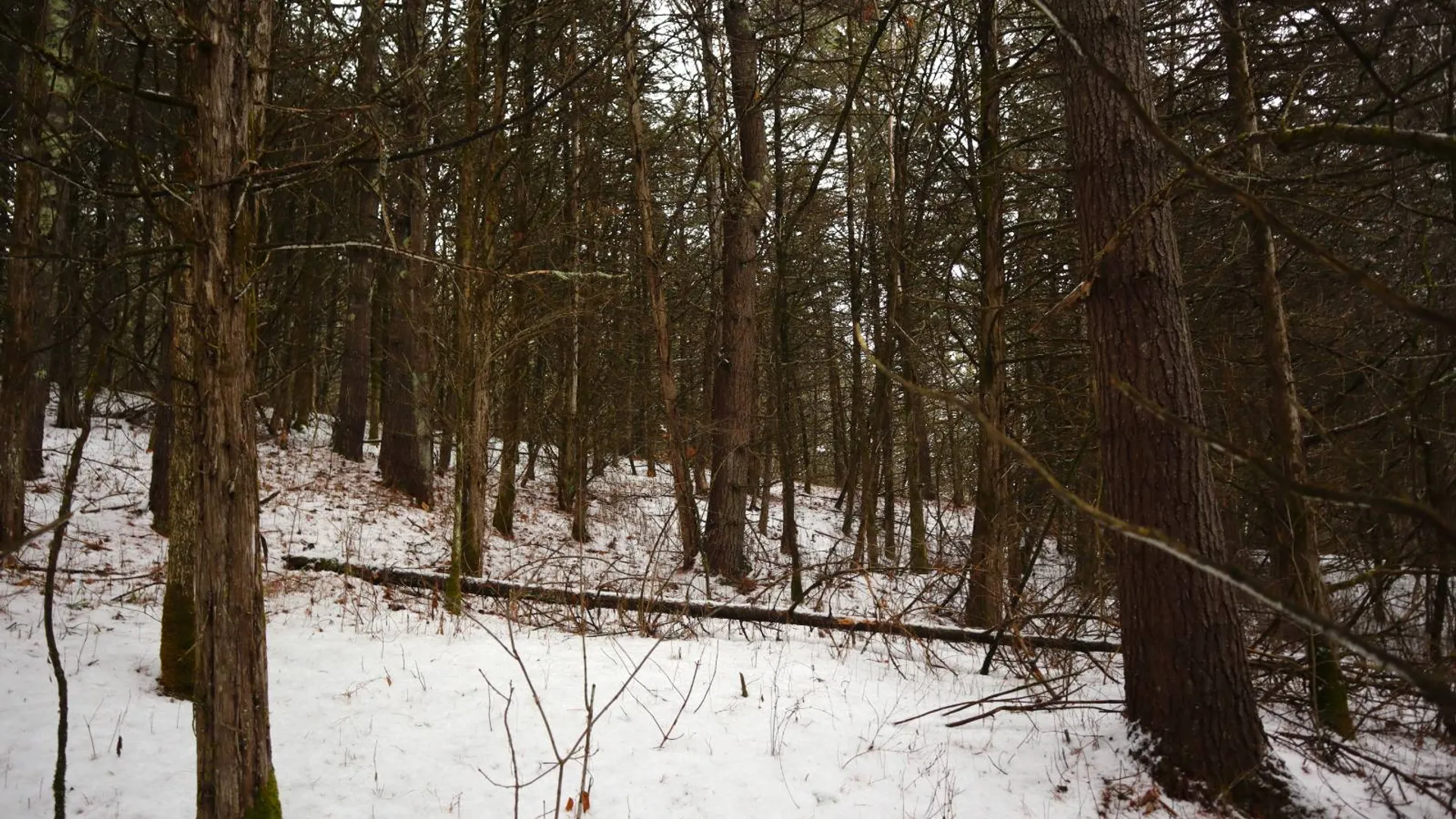 Property at 0 Wade Road, Whitehall, NY 12887 52