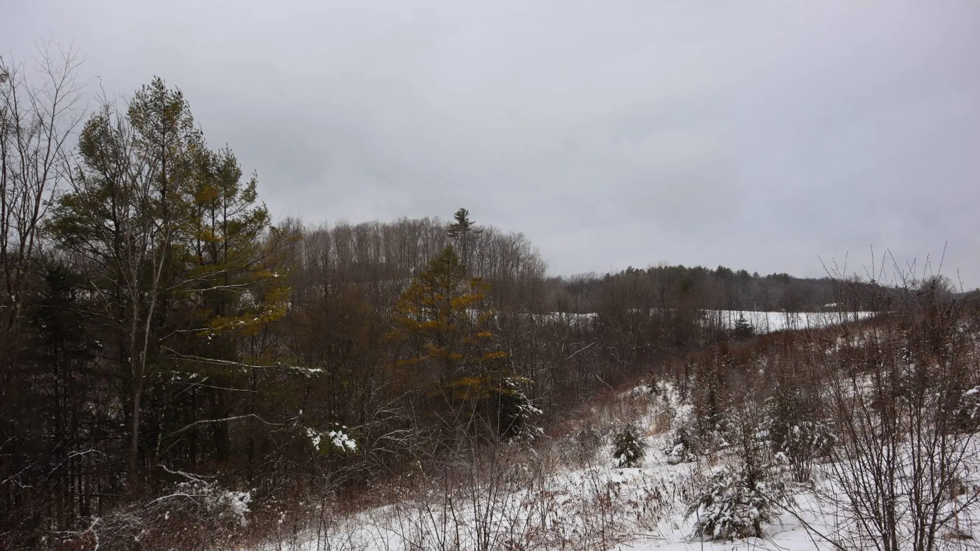 Property at 0 Wade Road, Whitehall, NY 12887 55