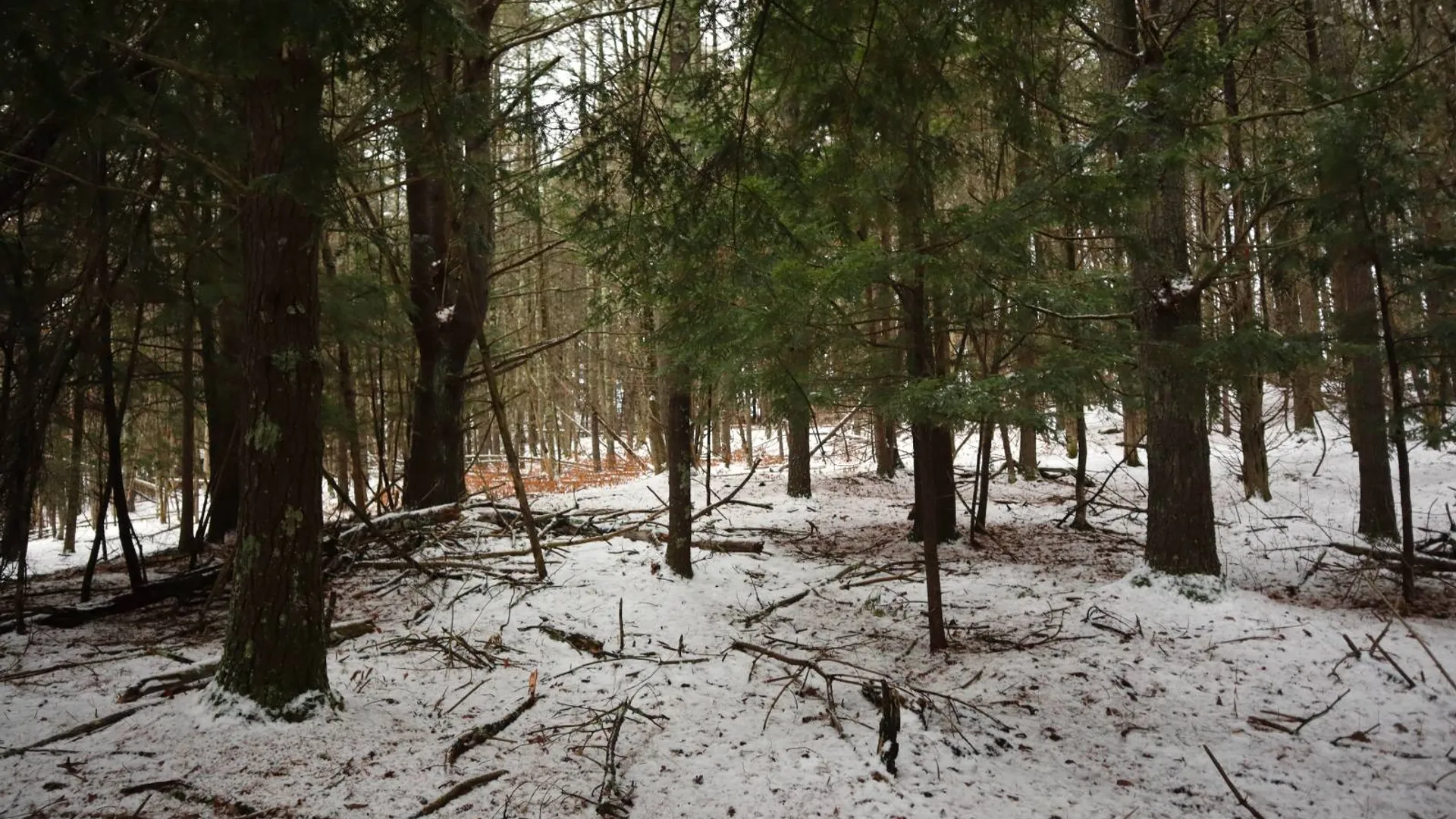 Property at 0 Wade Road, Whitehall, NY 12887 6