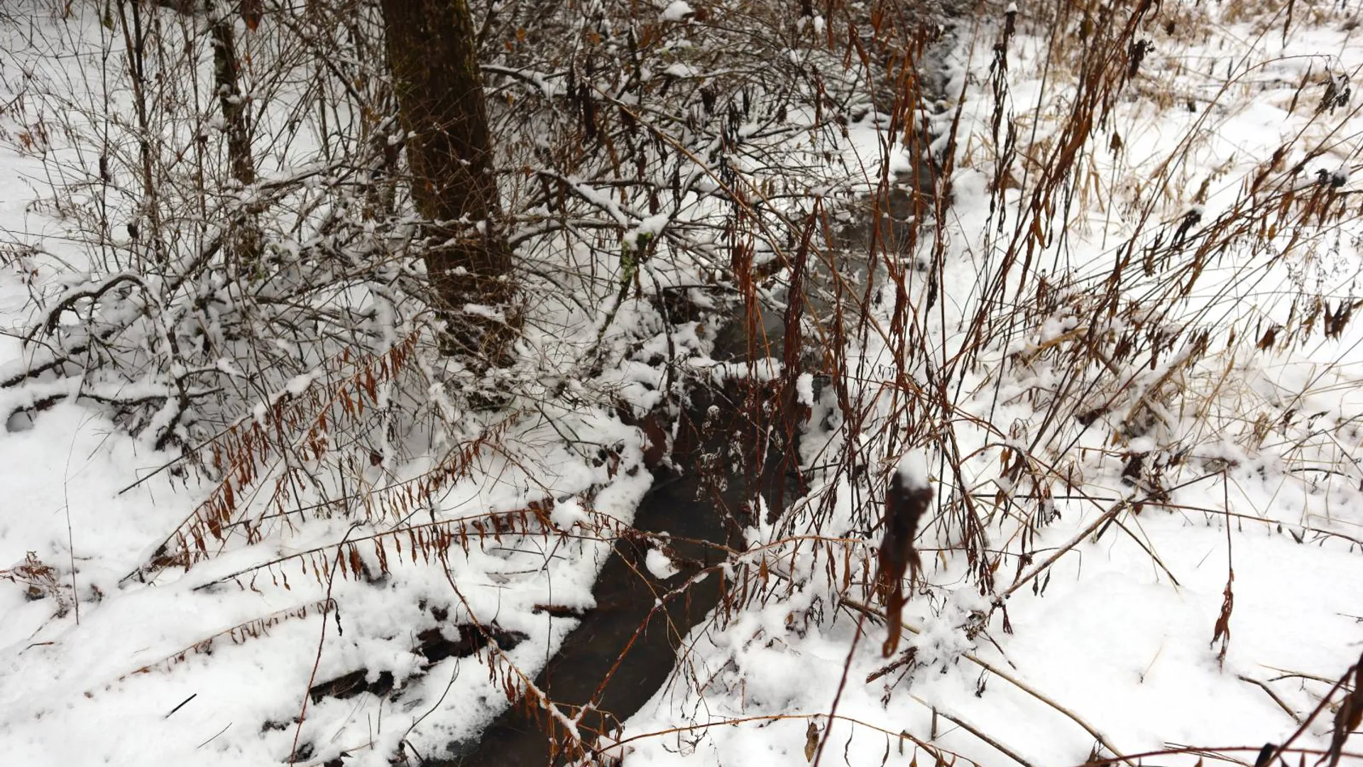 Property at 0 Wade Road, Whitehall, NY 12887 7