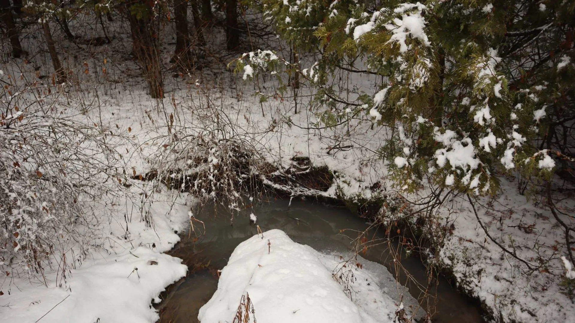 Property at 0 Wade Road, Whitehall, NY 12887 8