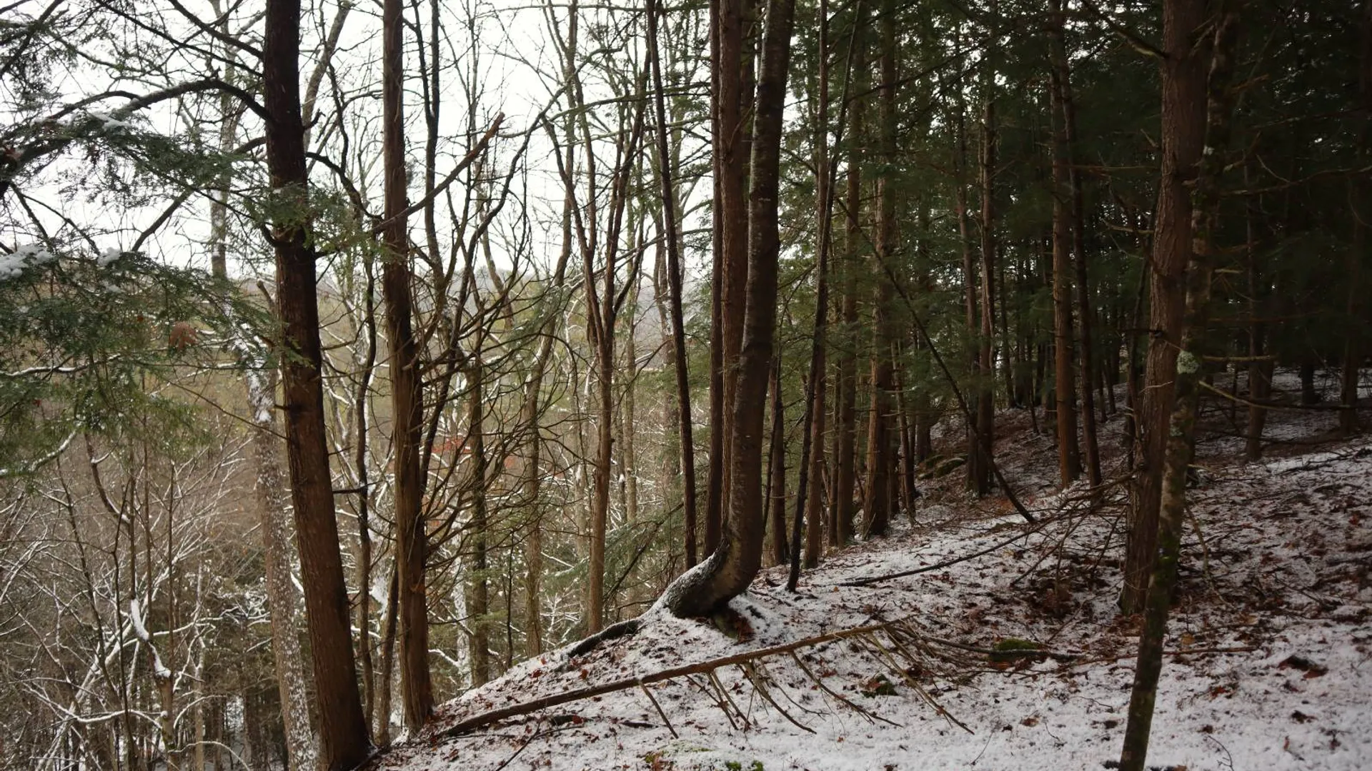 Property at 0 Wade Road, Whitehall, NY 12887 9