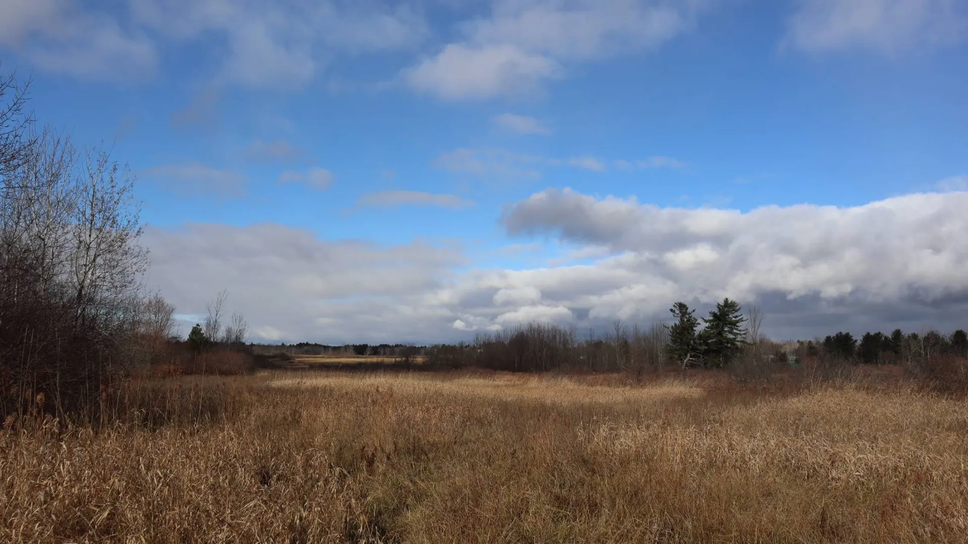 Property at 1488 Sthwy 162, Sprakers, NY 12166 2