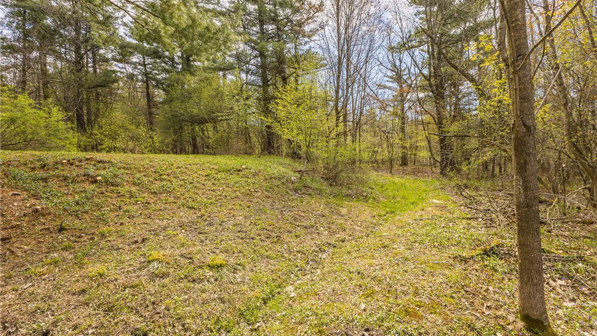 Property at 6057 Gulick Road, South Bristol, NY 14512 12