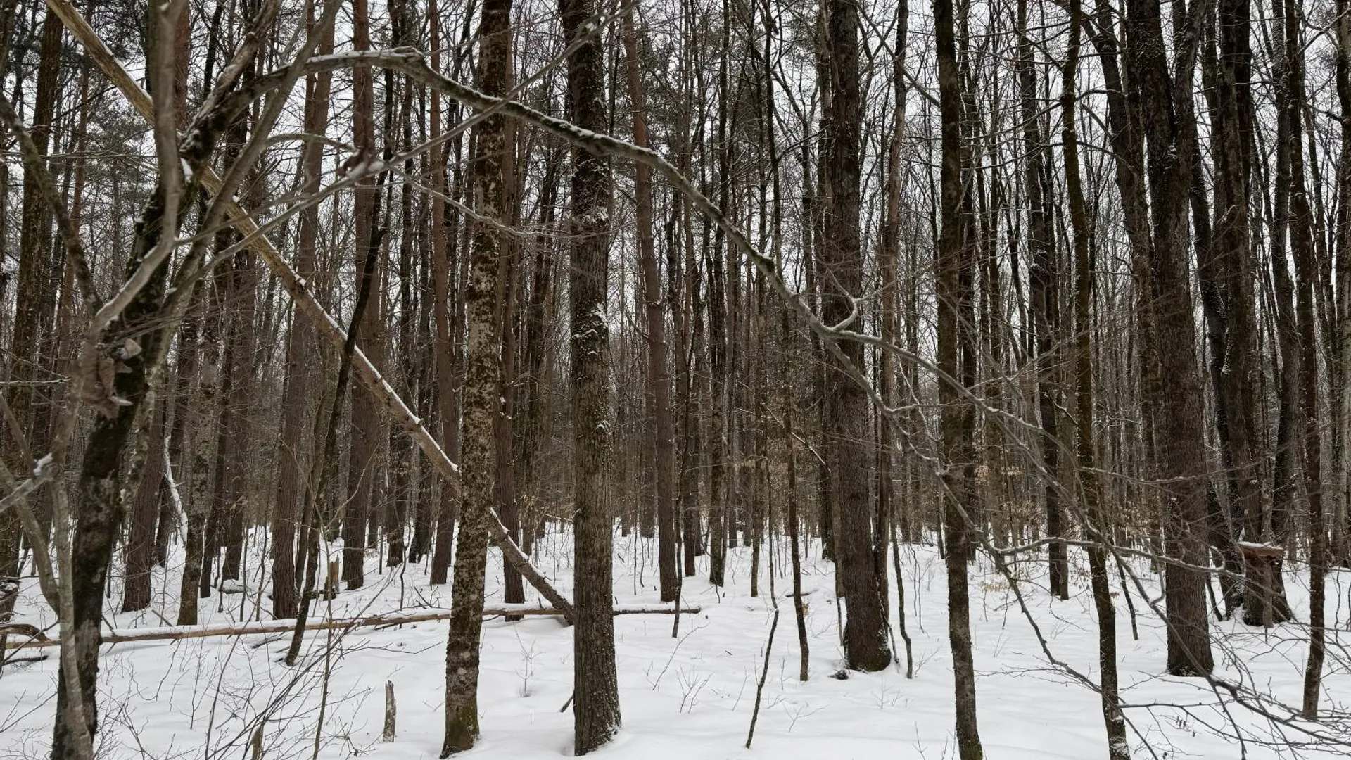 Property at 11 Beaverdam Brook Dr, Altmar, NY 13302 33