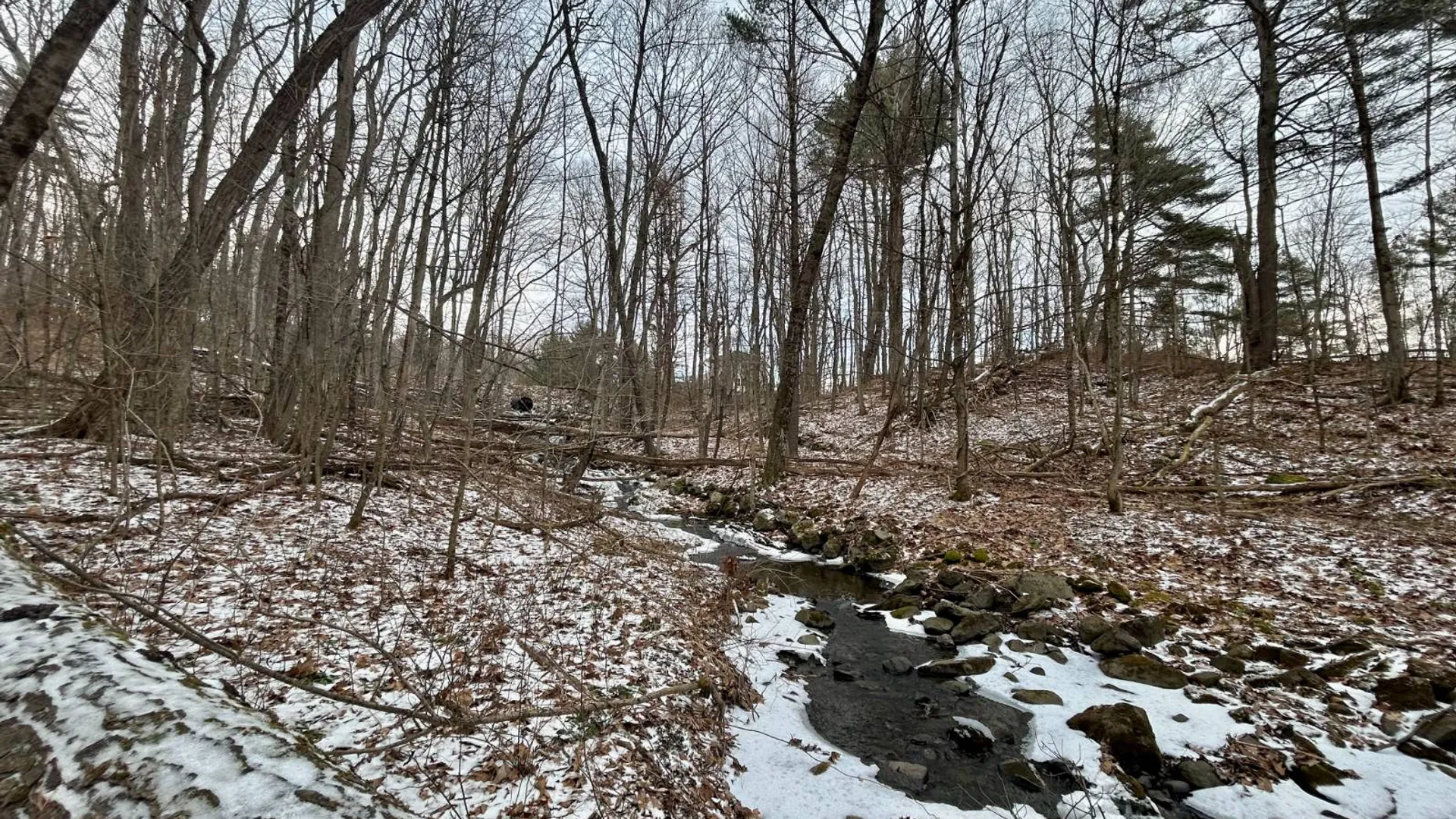Property at L90 County Route 9, East Chatham, NY 12060 10