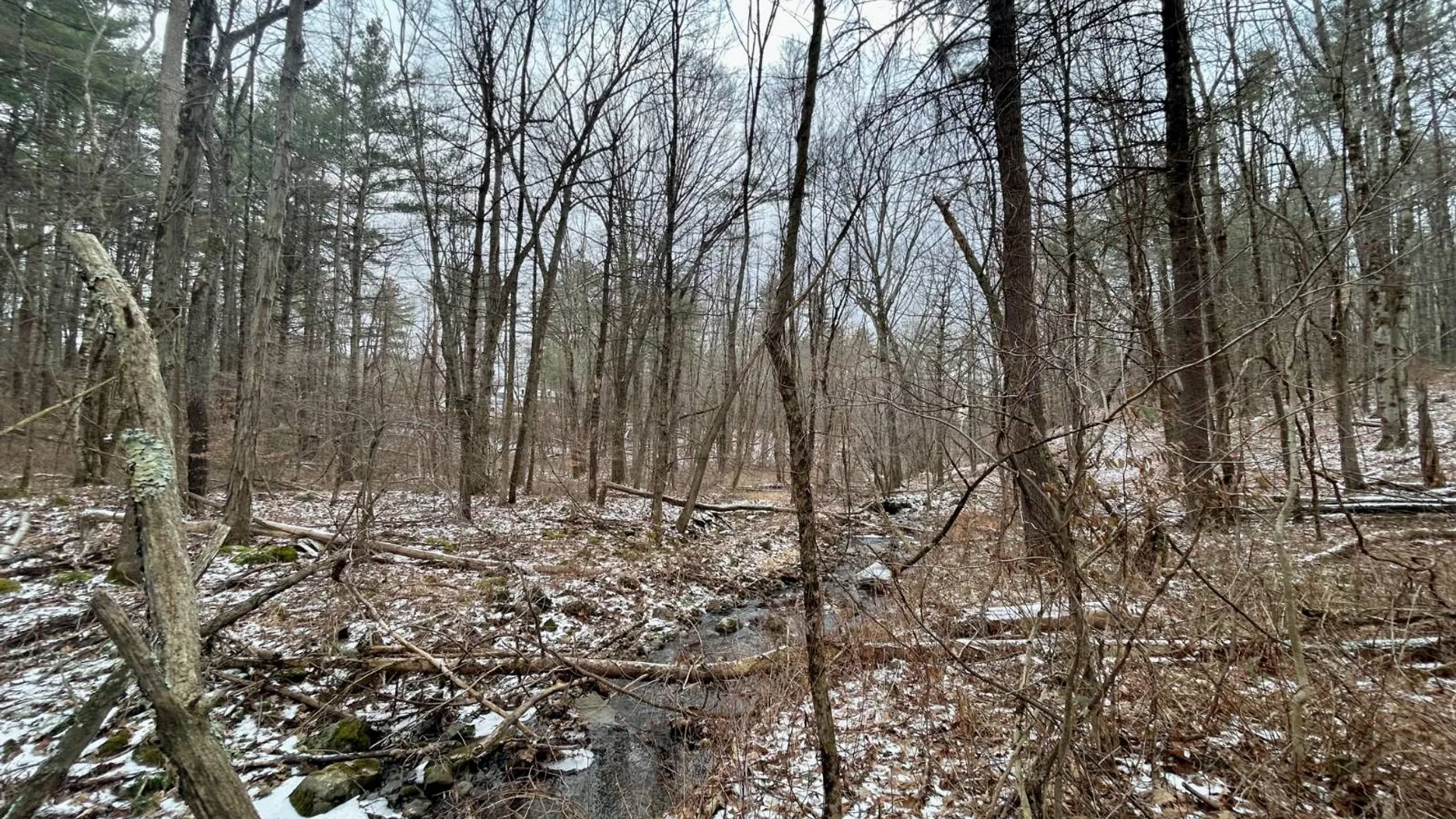 Property at L90 County Route 9, East Chatham, NY 12060 11