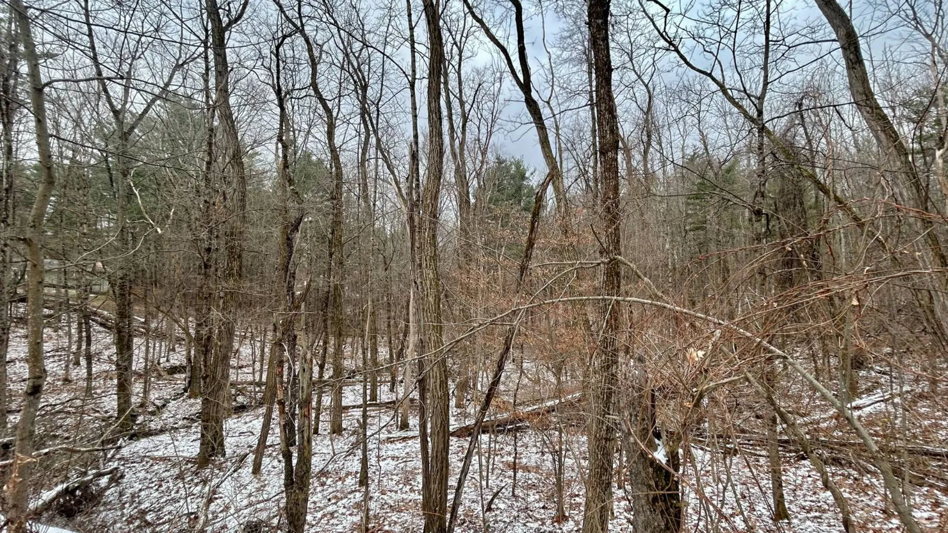 Property at L90 County Route 9, East Chatham, NY 12060 2