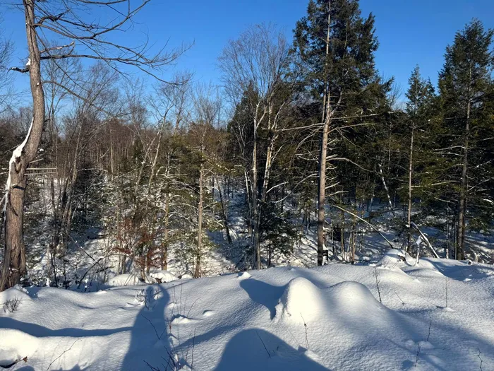 Property at 1.1 Rowell Rd, Camden, NY, NY 13316