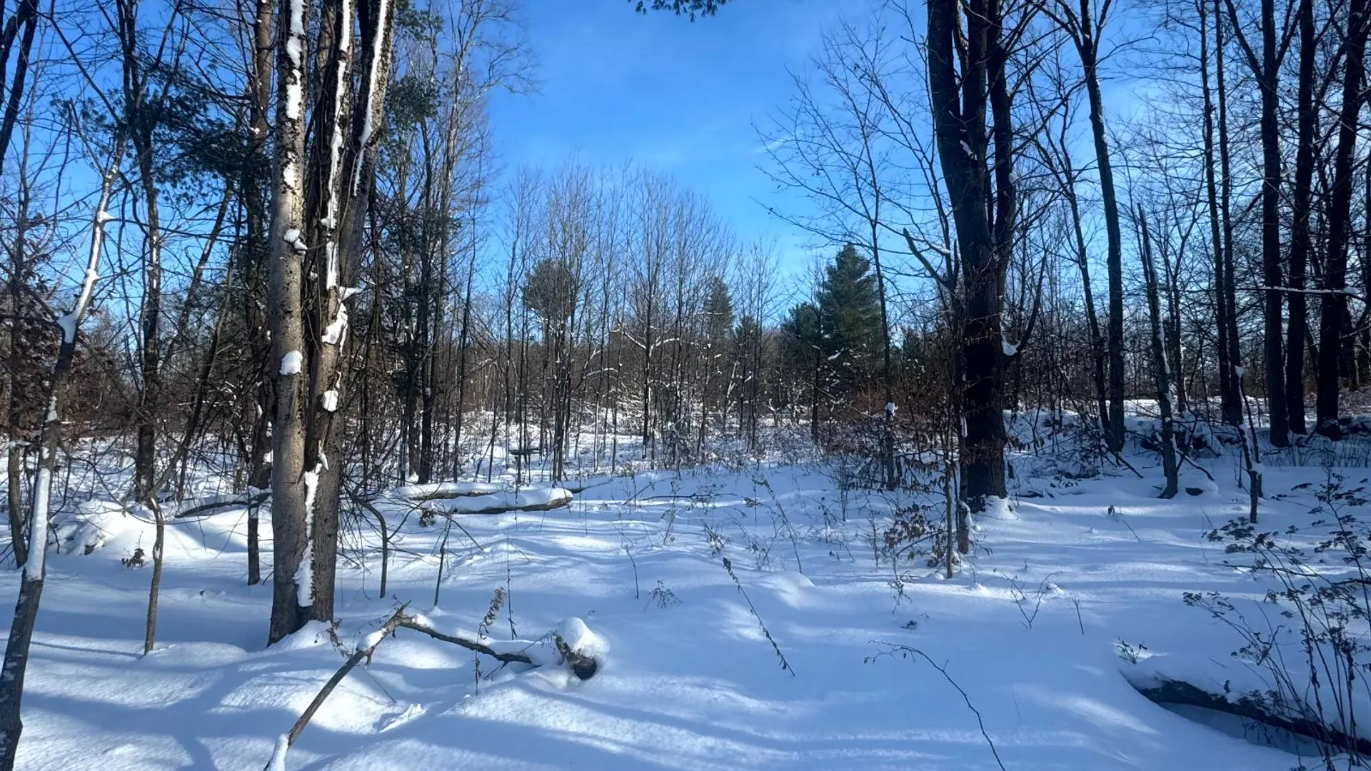 Property at 1.1 Rowell Rd, Camden, NY, NY 13316 2