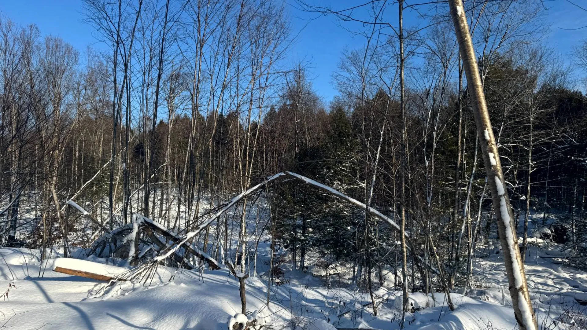 Property at 1.1 Rowell Rd, Camden, NY, NY 13316 3