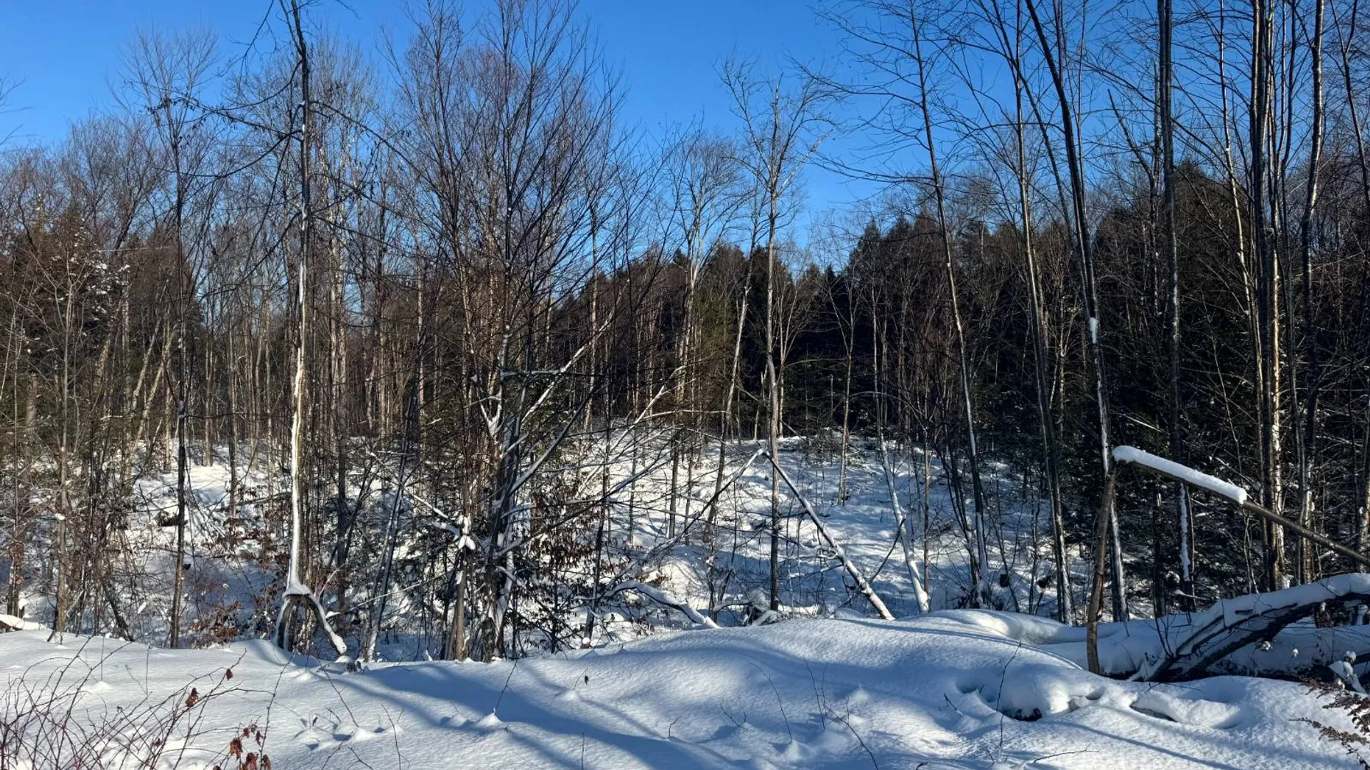 Property at 1.1 Rowell Rd, Camden, NY, NY 13316 4