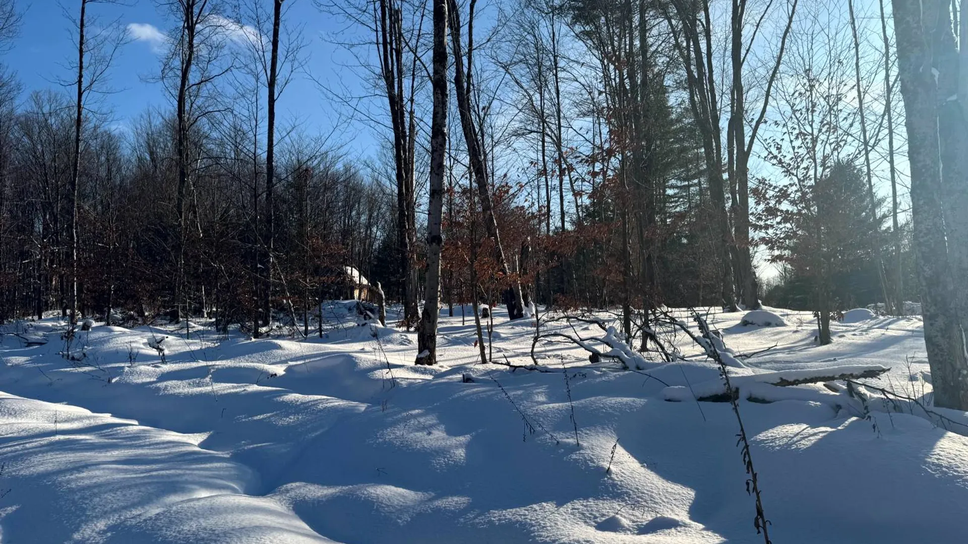 Property at 1.1 Rowell Rd, Camden, NY, NY 13316 5