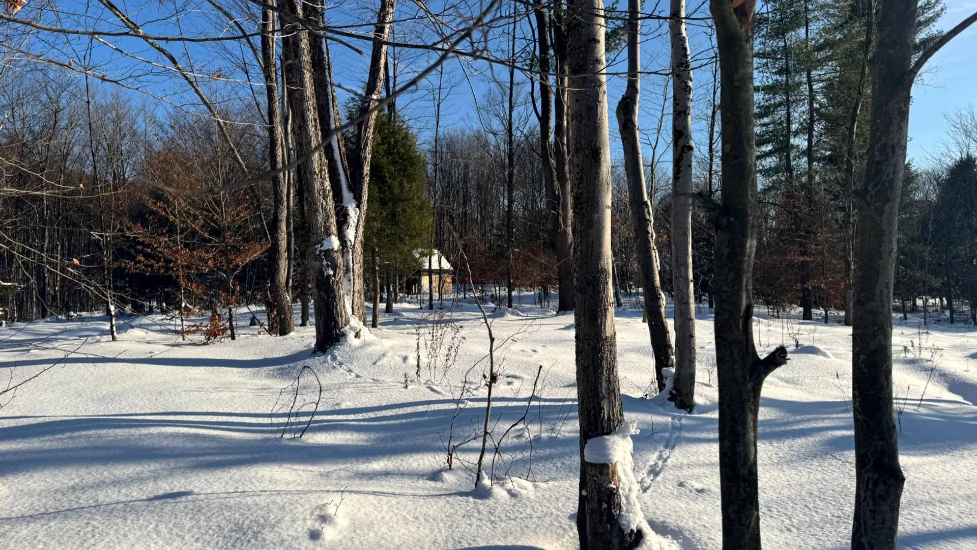 Property at 1.1 Rowell Rd, Camden, NY, NY 13316 7