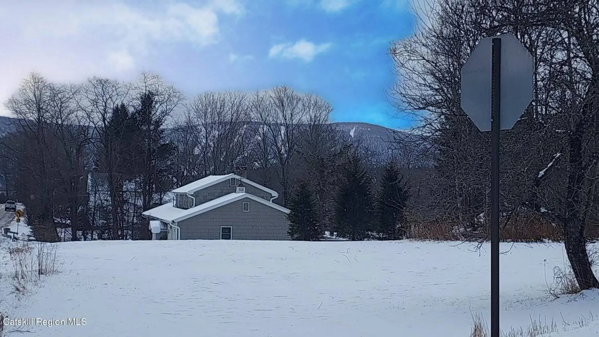 Property at 523 Mitchell Hollow Rd, Windham, NY 12496 2