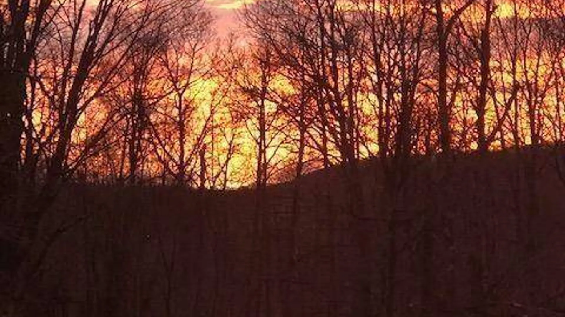 Property at 523 Mitchell Hollow Rd, Windham, NY 12496 43
